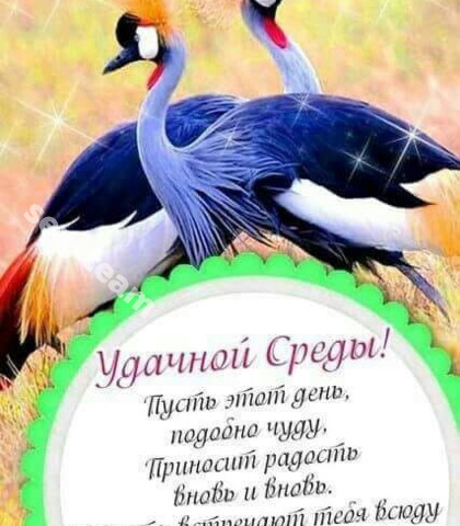 Проститутка Алиса